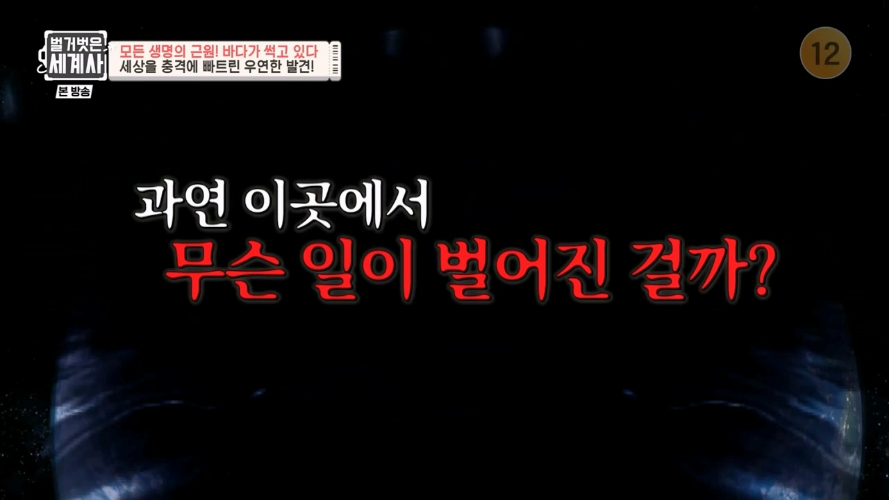 벌거벗은 세계사.E90.230315p-NEXT.mp4_20230419_204010.601.jpg