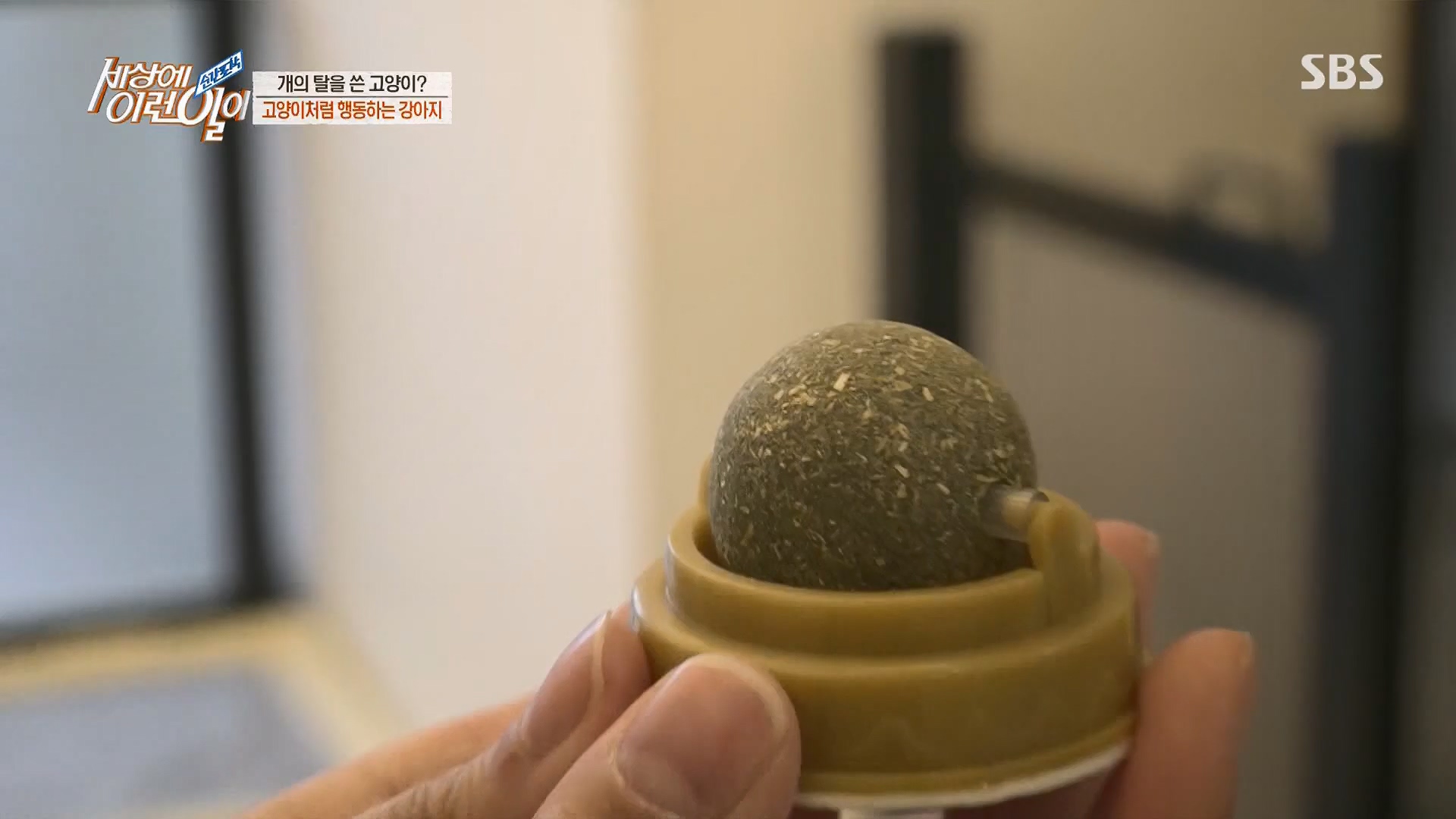 순간포착 세상에 이런일이.E1229.230509p.H264-F1RST.mp4_20230510_194444.917.jpg