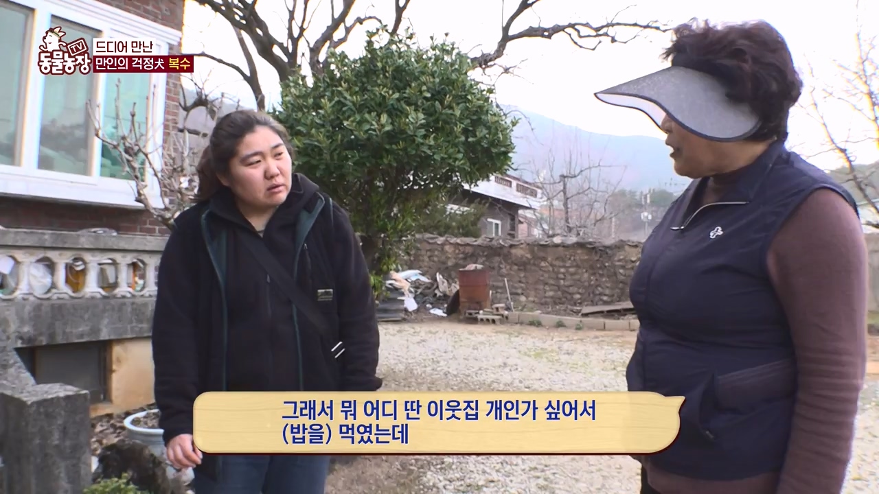 TV 동물농장.E1173.240527p-NEXT.mp4_20240526_155722.058.jpg