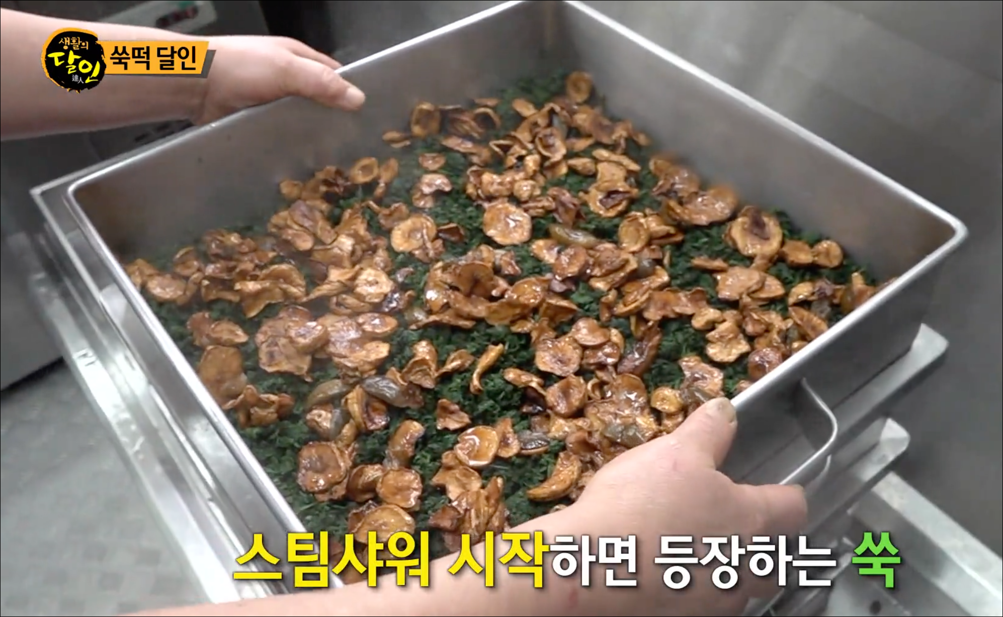  [TV속맛집] 생활의 달일에 소개된 쑥떡의 달인! 광주 춘희쑥개떡 #광주 쑥개떡 맛집 #춘희쑥개떡