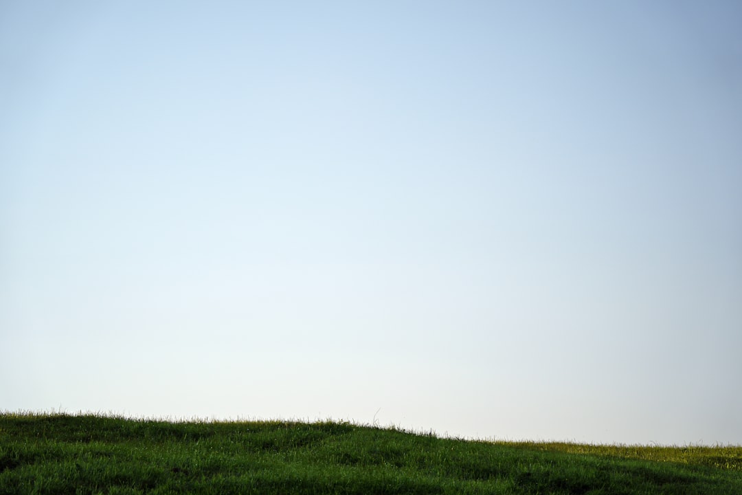 Jindo
