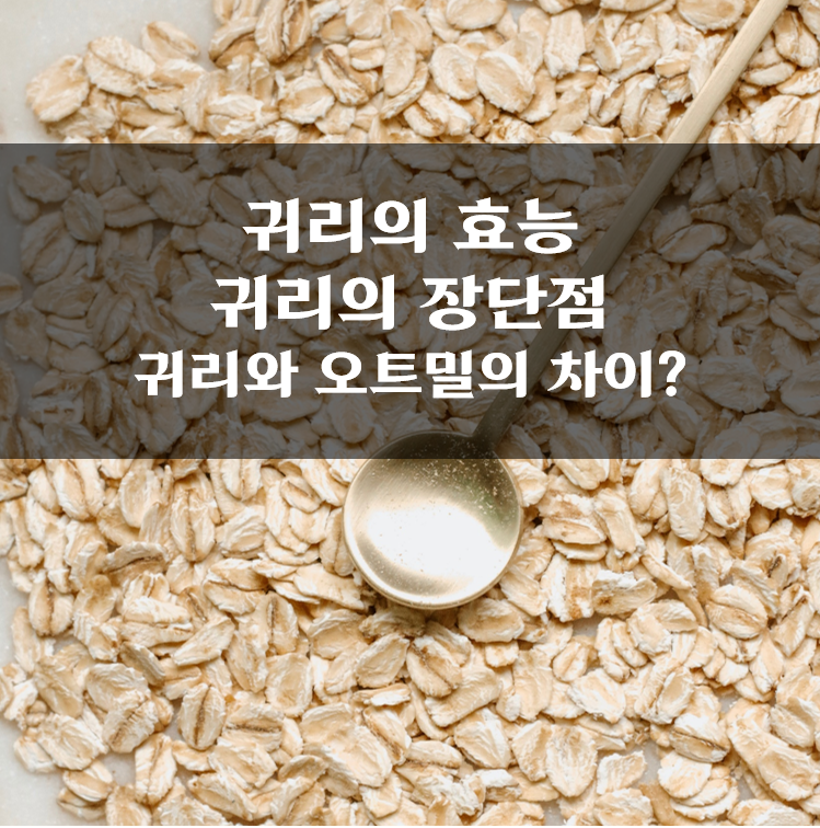  귀리의 장단점, 오트밀의 장단점, 슈퍼푸드 귀리 효능, 오트밀 효능, 귀리 영양 성분