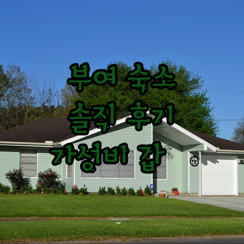 부여 힐링하우스 피크장 솔직 후기! 