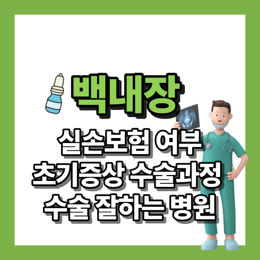 백내장실손보험