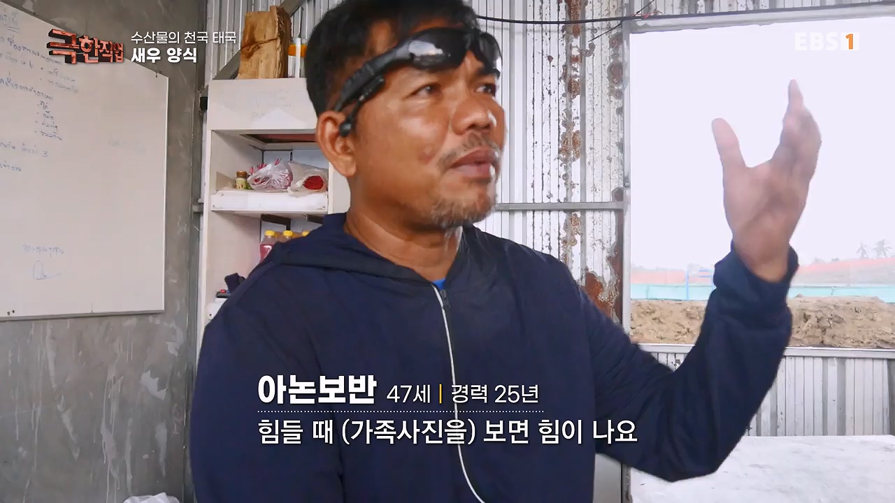 TV - 전 국민의 평생학교 EBS수산물의 천국 태국, 새우 양식과 말린 생선.mp4_20240604_201804.725.jpg
