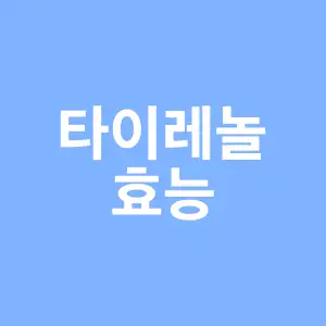 타이레놀 효능