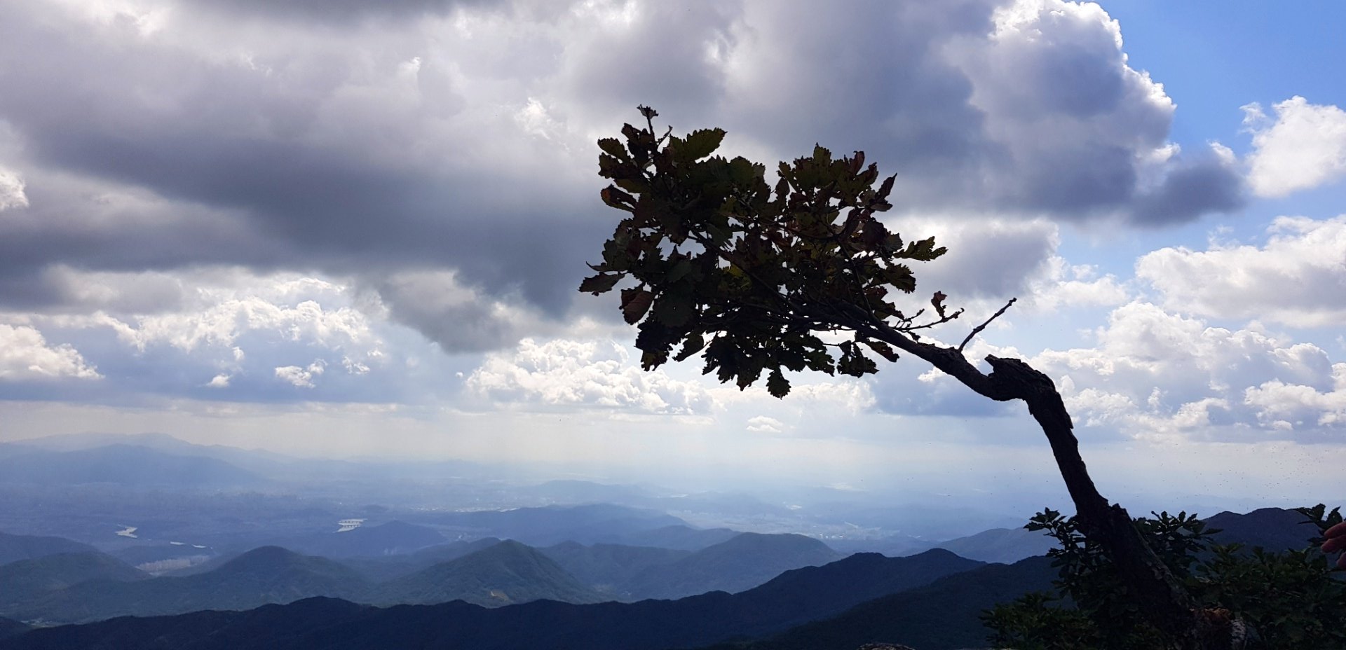 대구 영천 팔공산