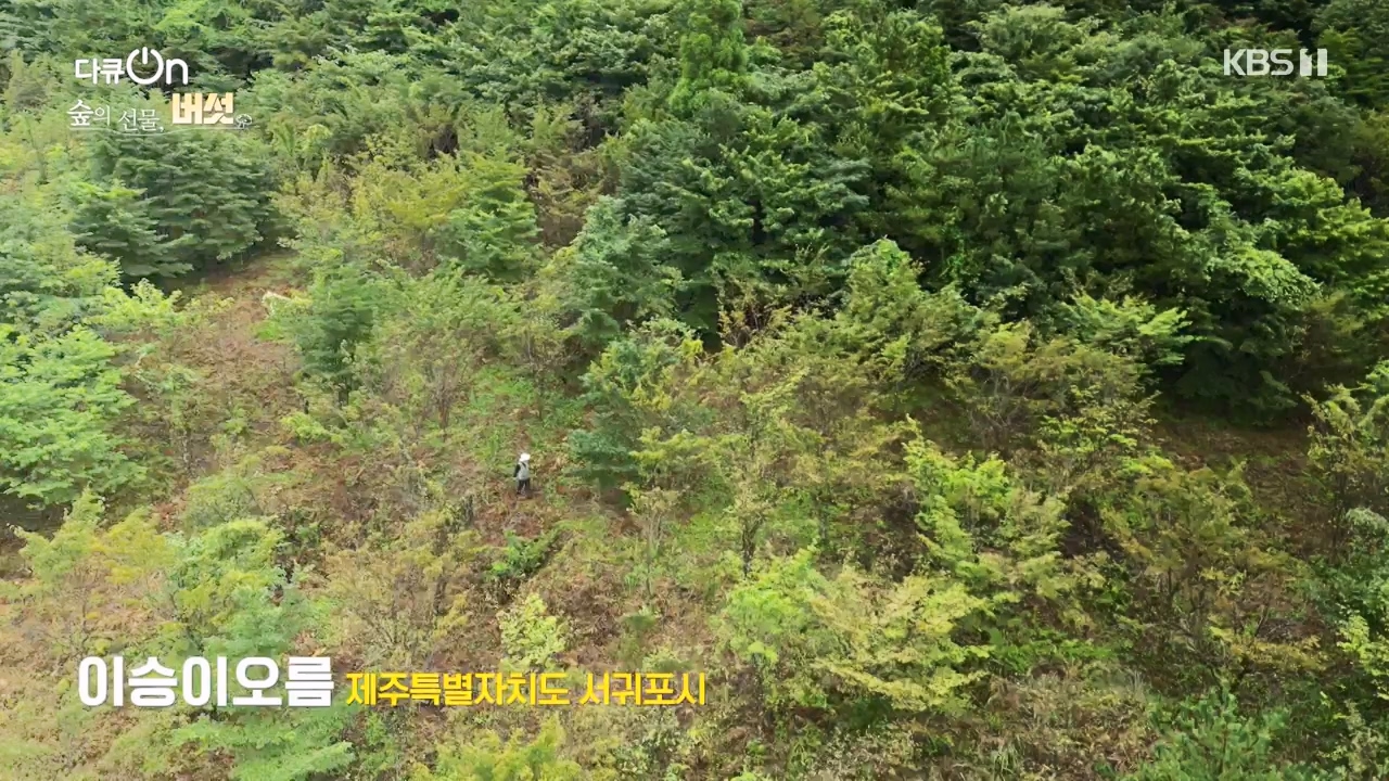 다큐 온.E227.231120p-NEXT.mp4_20231121_203656.990.jpg