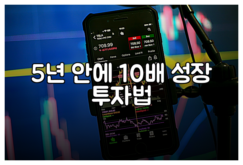 5년 안에 10배 성장 투자법