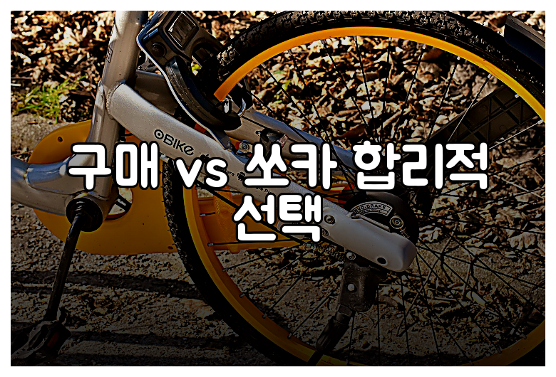 구매 vs 쏘카 합리적 선택