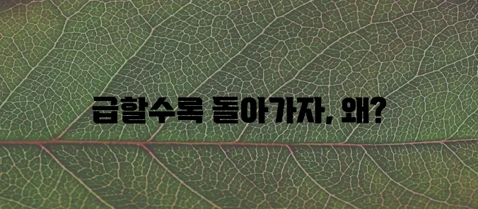 개인돈 대출 종류, 꼼꼼히 알아봐야겠죠?