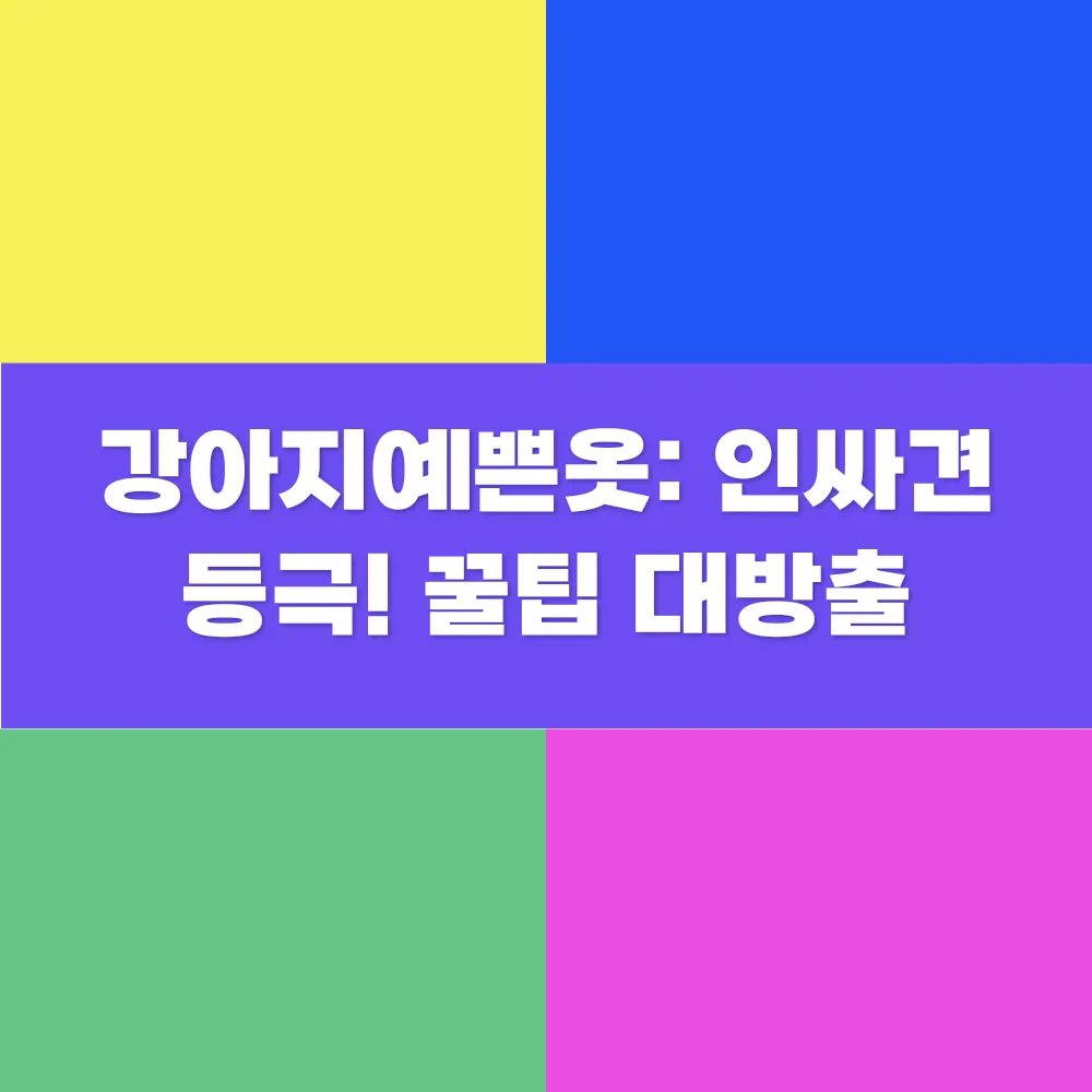 썸네일 이미지