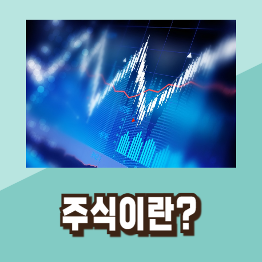 주식 투자 초보 용어 배우기