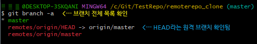 터미널에서 확인한 Clone 받은 로컬 저장소의 브랜치 목록