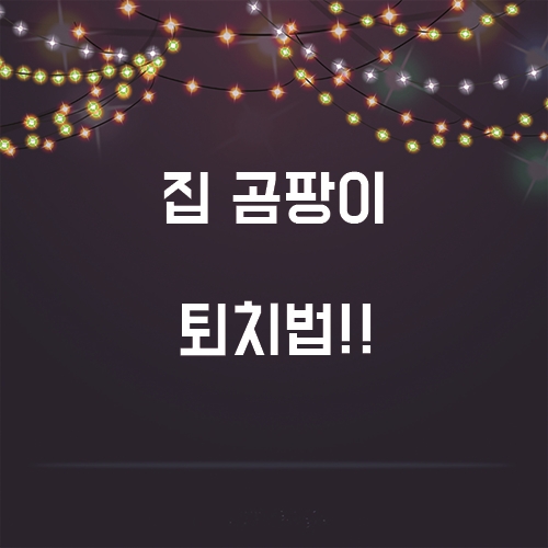  집 곰팡이 퇴치법 대 공개!