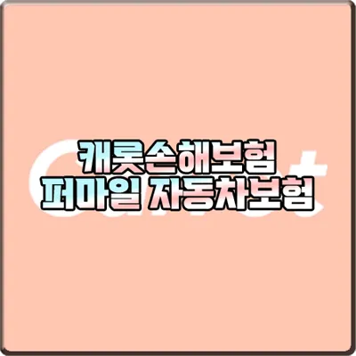  캐롯손해보험 퍼마일 자동차보험 가입 및 장단점/보장내용 등 총정리