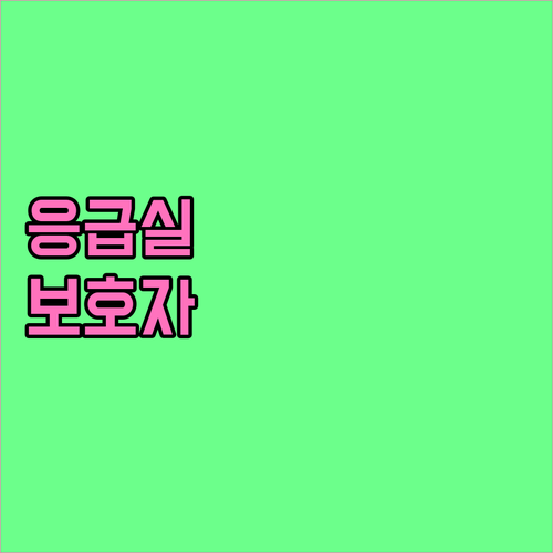 응급실 보호자 필수 가이드: 환자 지