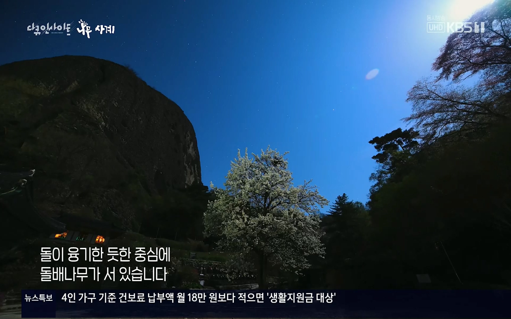 다큐 인사이트.E124.220908p.H264-F1RST.mp4_20220912_143727.638.jpg