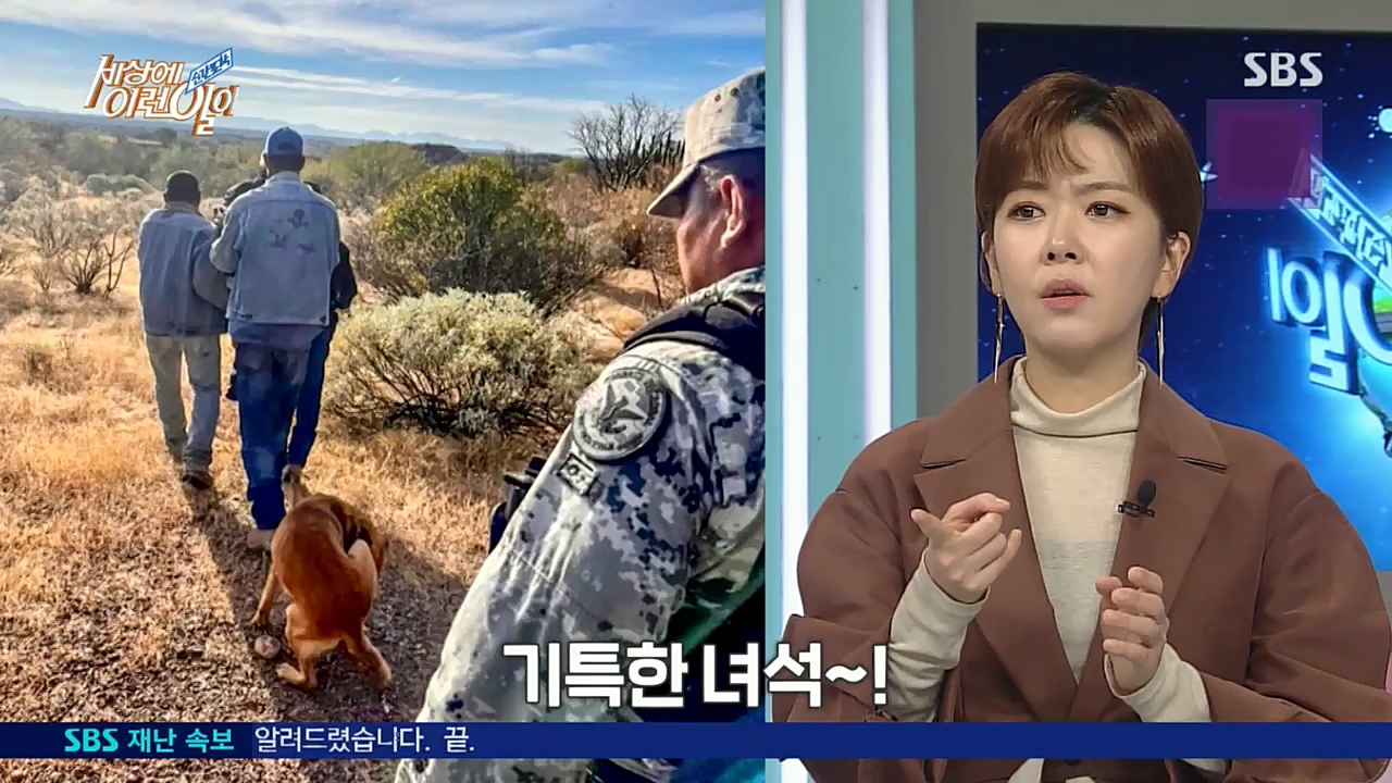 순간포착 세상에 이런일이.E1210.221221p.H264-F1RST.mp4_20221221_194001.678.jpg