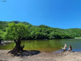 청송 가볼만한곳 베스트10 현지인 추천 필수코스_6