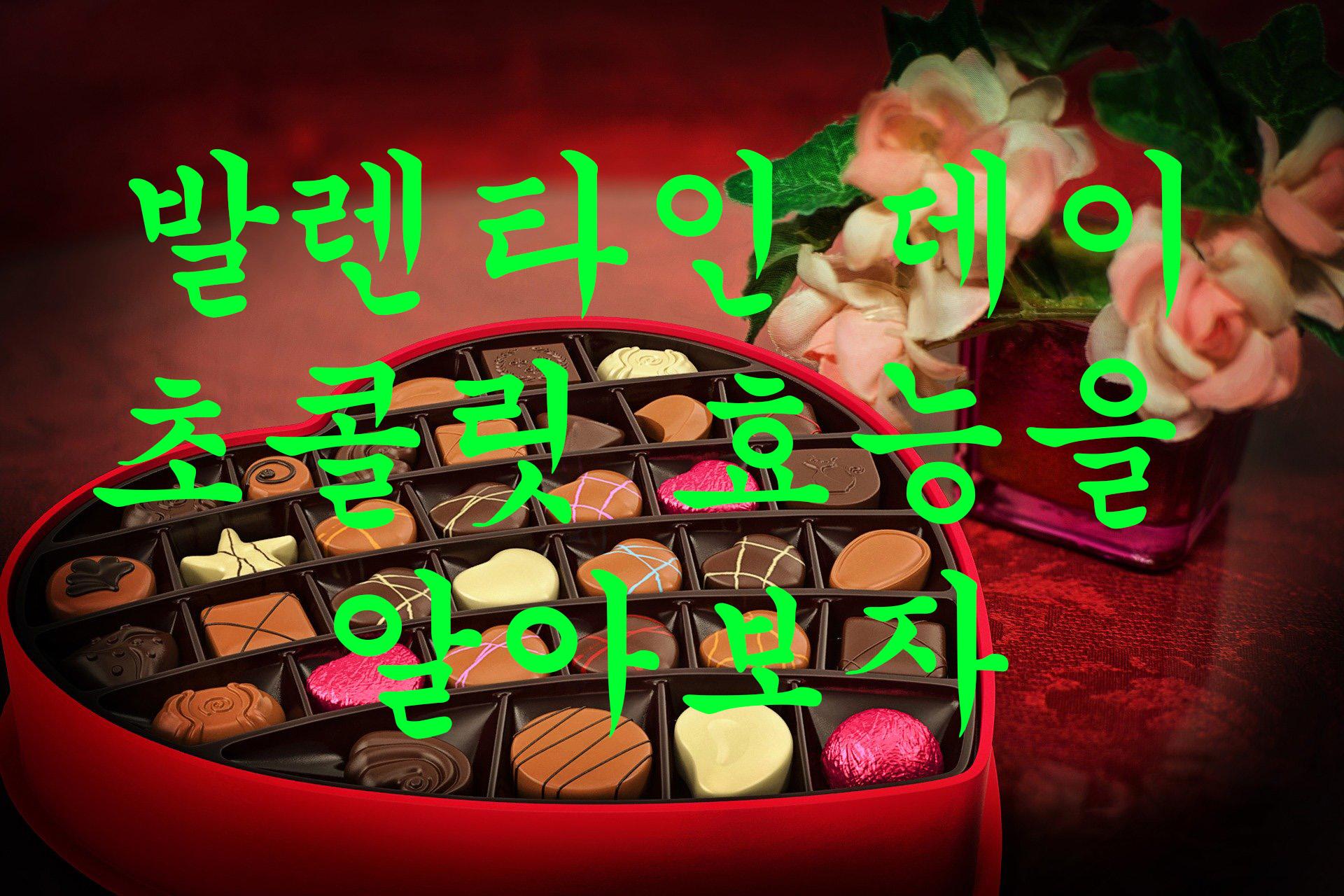  오늘은 발렌타인데이 초콜릿 효능 을 알아보자!