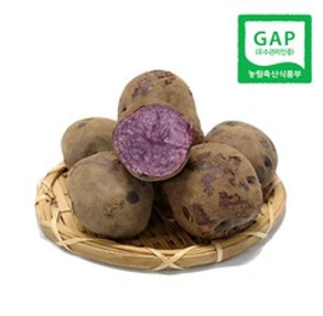 GAP 하동 보라색 유황감자 (대) 4.7kg 보라색감자 2023년 봄 햇감자 자영감자&#44; 1박스