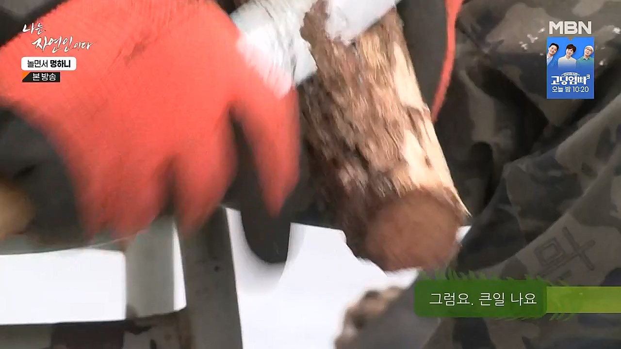 나는 자연인이다.E538.230126p-NEXT.mp4_20230126_194021.163.jpg