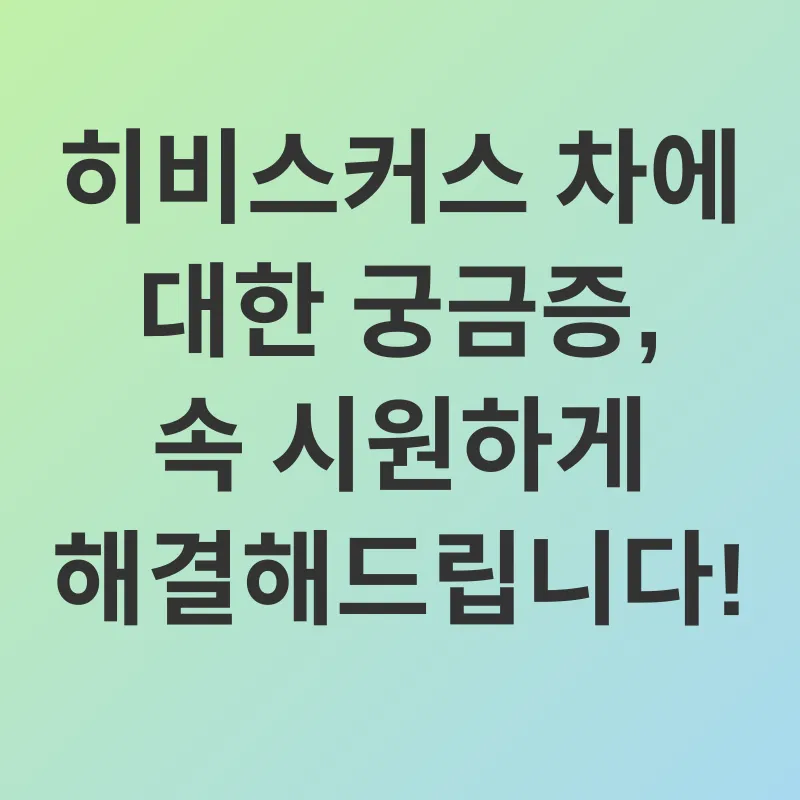 히비스커스차 효능_4