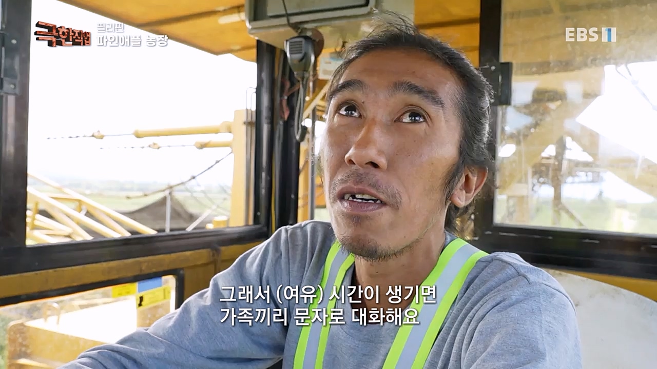 TV - 교육의 중심 EBS필리핀 바나나, 파인애플 농장.mp4_20230302_202908.149.jpg