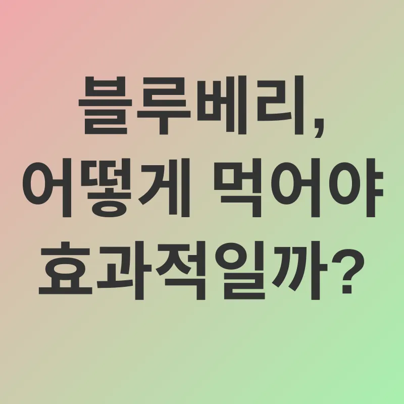 블루베리 피부 효능_2