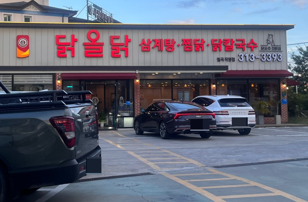 닭올닭 이미지