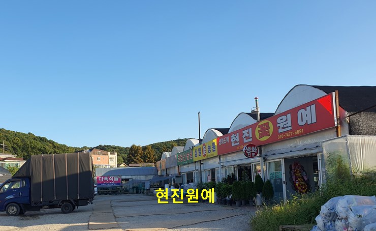 현진원예 고양꽃도매시장