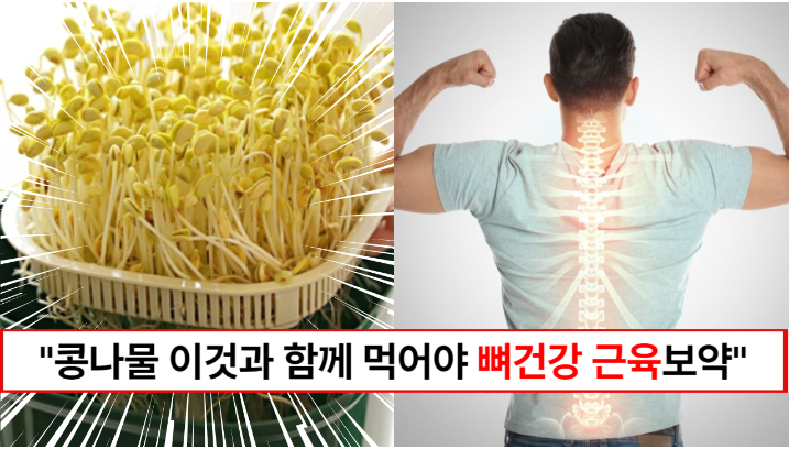 “콩나물로 뼈건강과 근육 모두 지킬수 있습니다” 콩나물을 더 건강하게 보약처럼 먹을 수 있는 방법 2가지