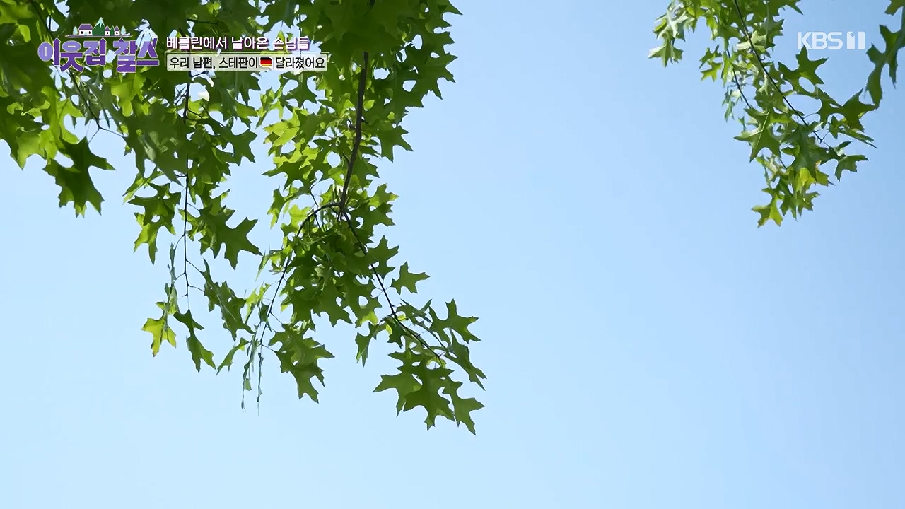 이웃집 찰스.E441.240612p-NEXT.mp4_20240612_213129.934.jpg