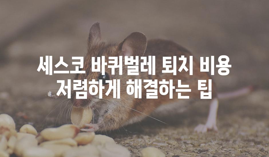 세스코 바퀴벌레 퇴치 비용 저렴하게 해결하는 팁