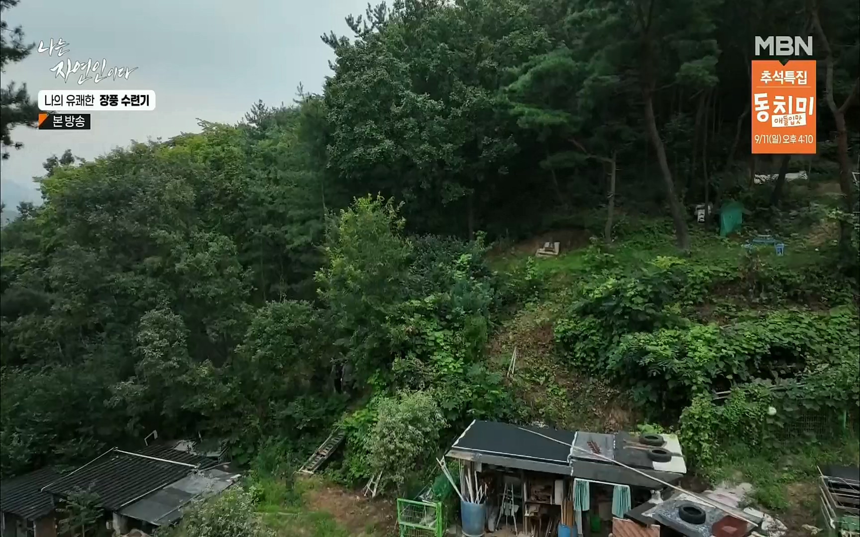 나는 자연인이다.E517.220831p.H264-F1RST.mp4_20220901_201004.869.jpg