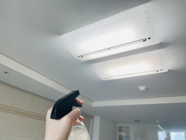 초파리 벌레 극혐오 4가지 활용법 8