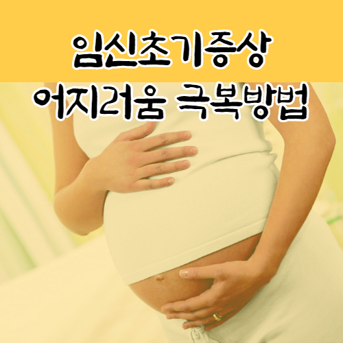 임신 극초기증상 극복방법