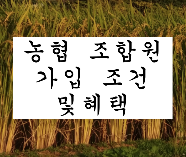  농협 조합원 가입조건 및 혜택