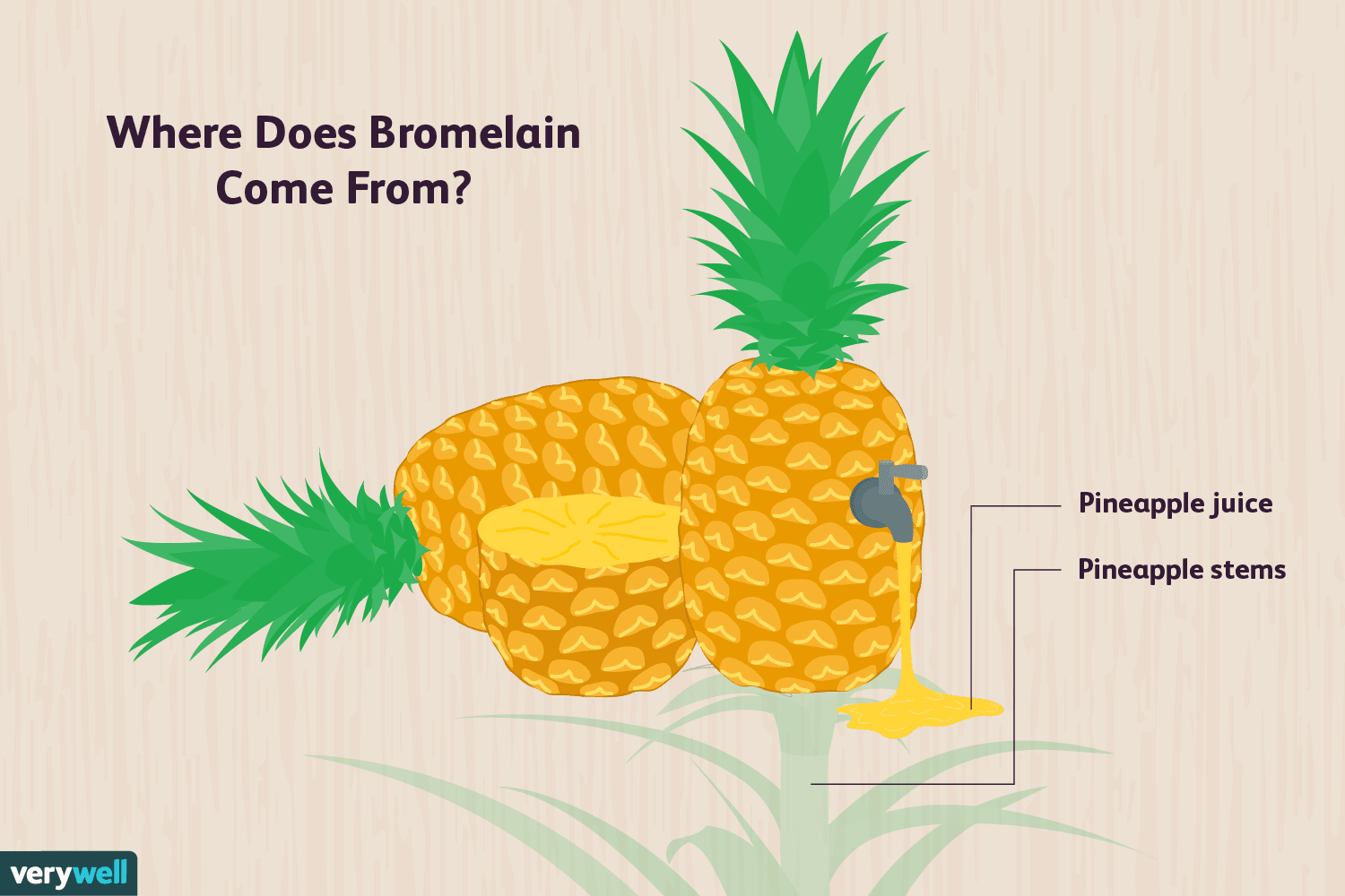 비문증 치료에도 효과있다는 &#39;브로멜라인(Bromelain)&#39;...그리고 파파인(Papain)