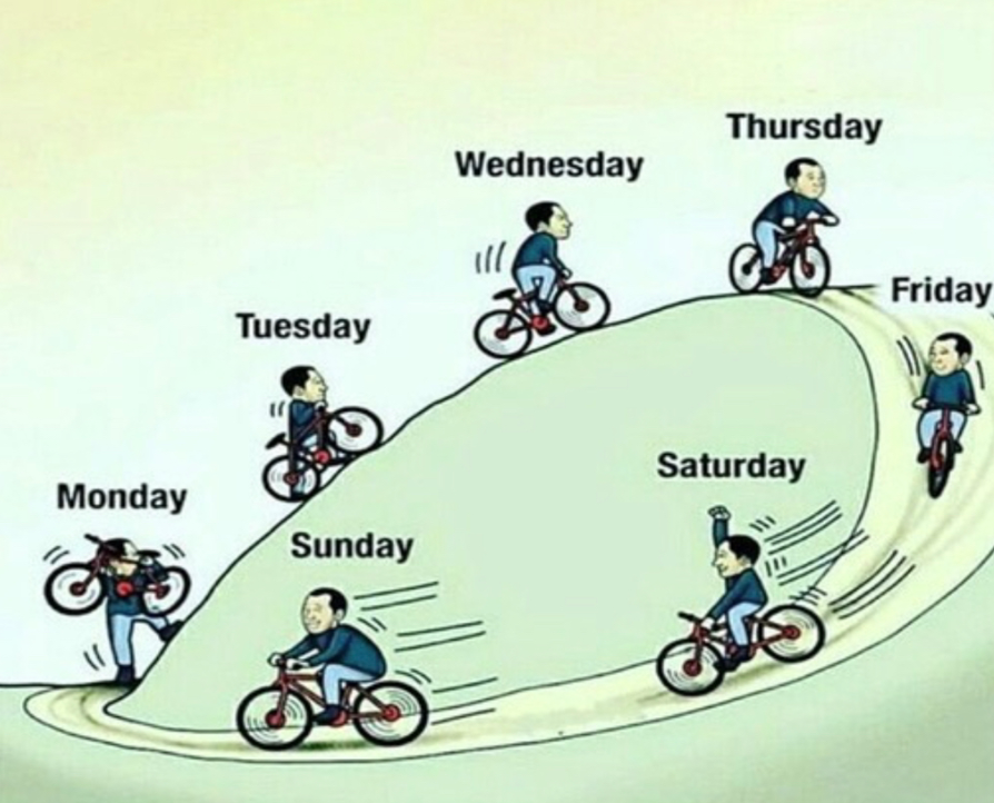  직장인의 일주일