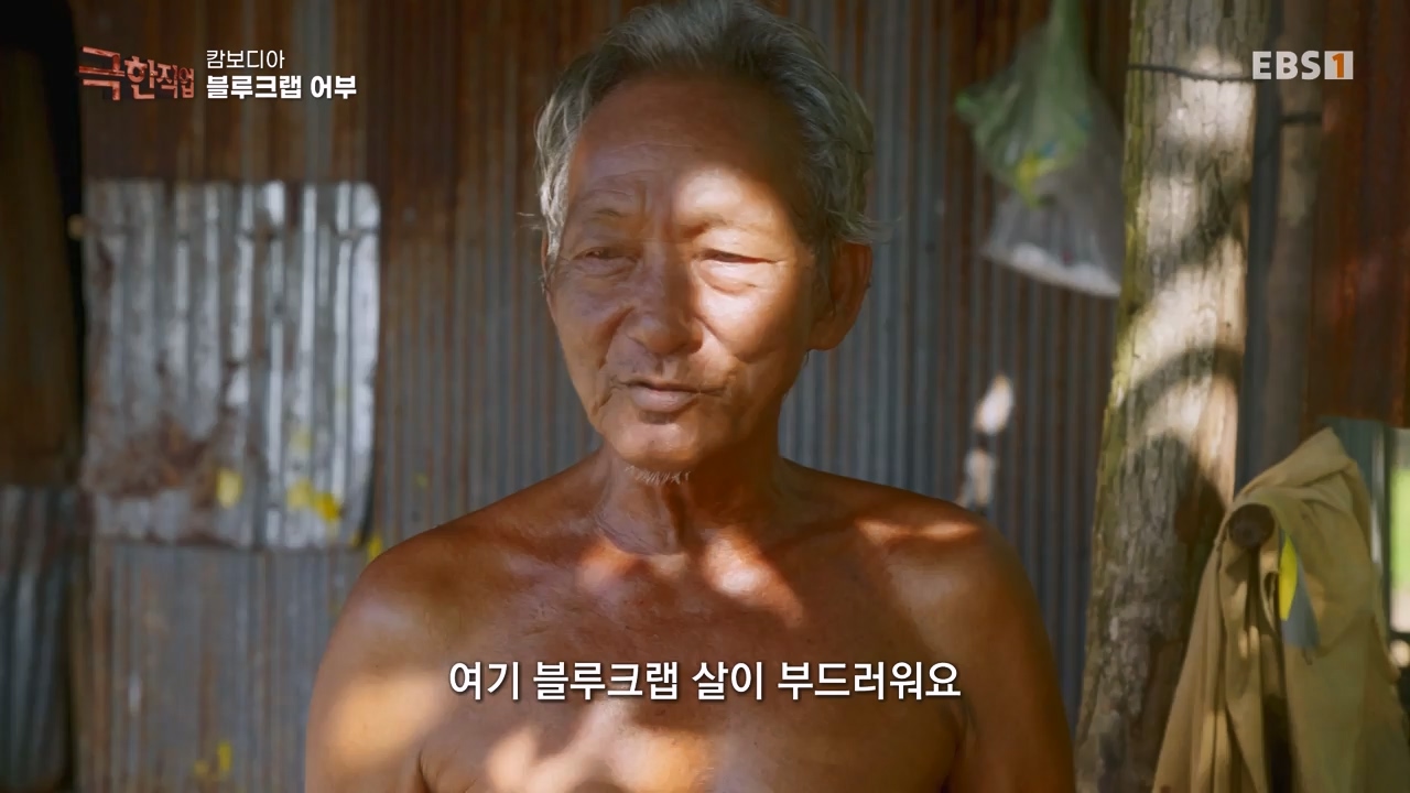 TV - 전 국민의 평생학교 EBS캄보디아 오리 유목민과 블루크랩 어부.mp4_20231223_175356.291.jpg