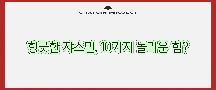 쟈스민 효능 10가지 이제 확실히 알아볼까요?