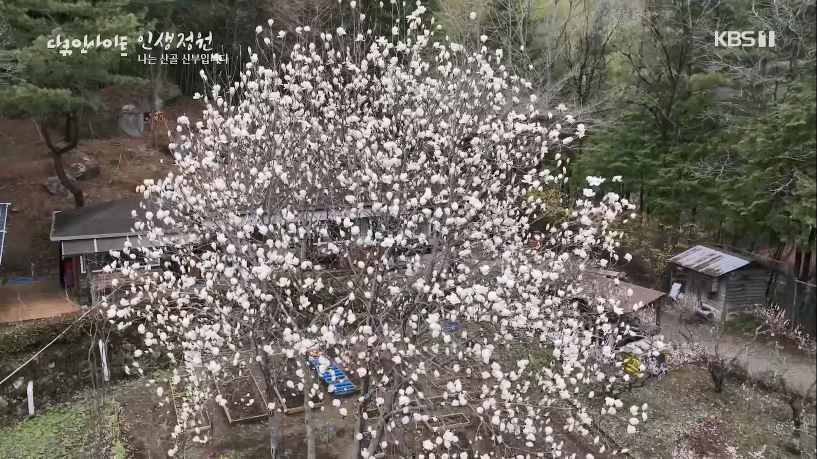 다큐 인사이트.E153.230608p.H264-F1RST.mp4_20230612_204106.981.jpg