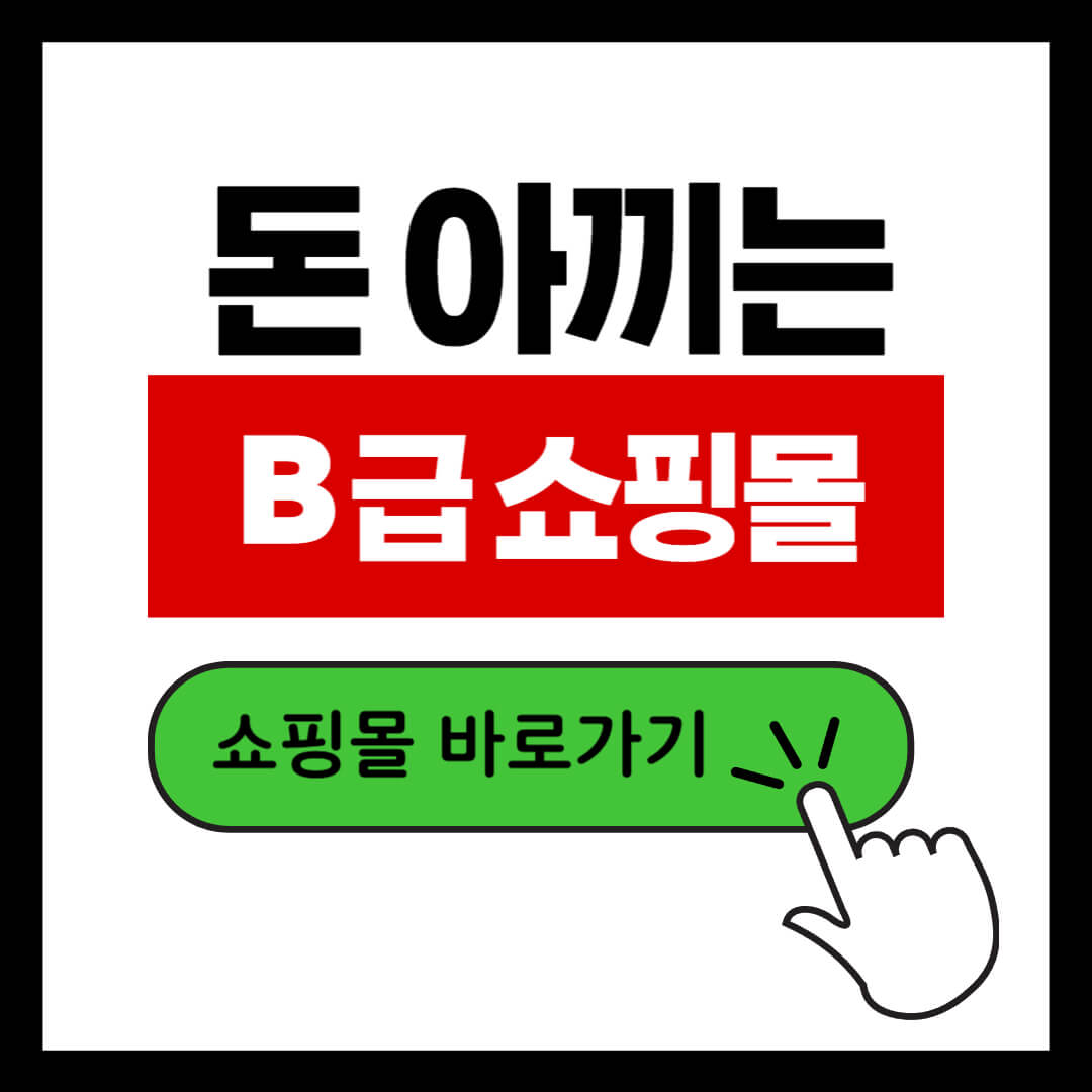 B급 쇼핑몰 추천