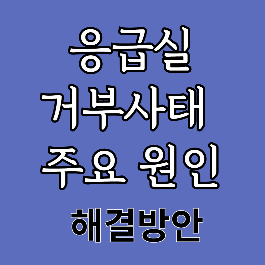 응급실 거부사태에 대한 주요 원인과 사례 정부의 해결방안은?