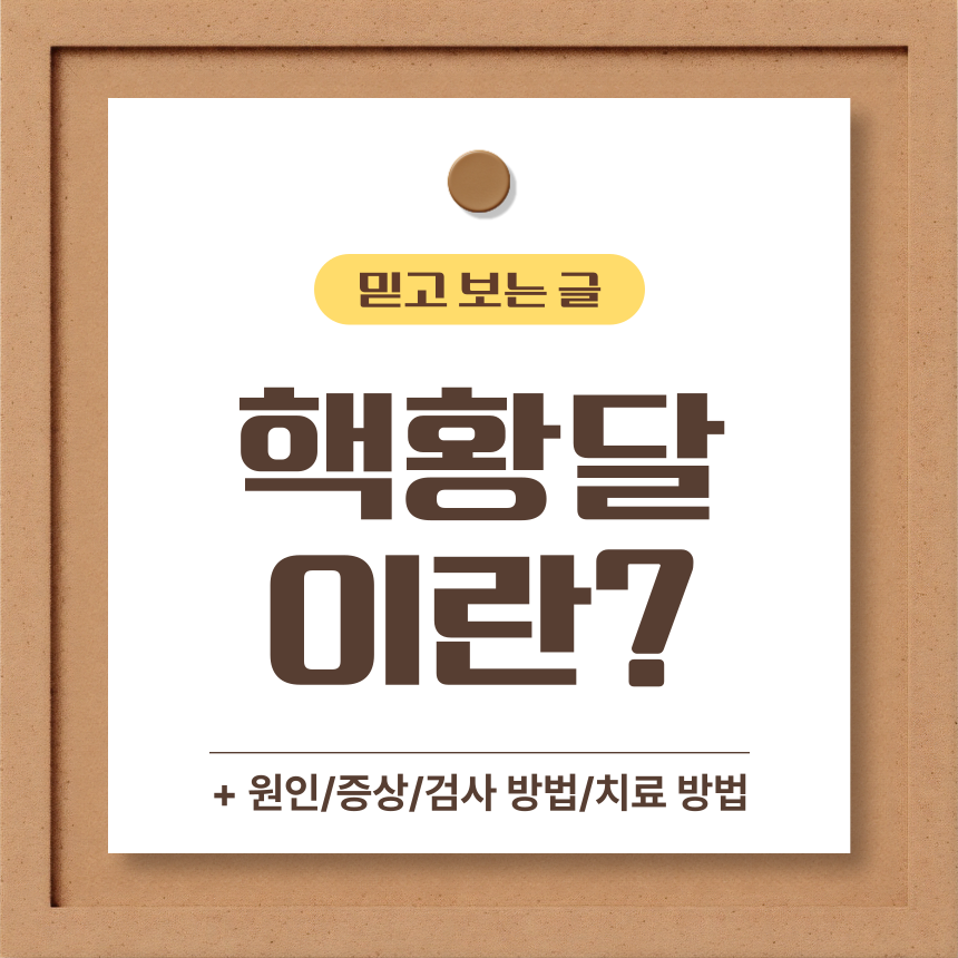  핵황달 이란?