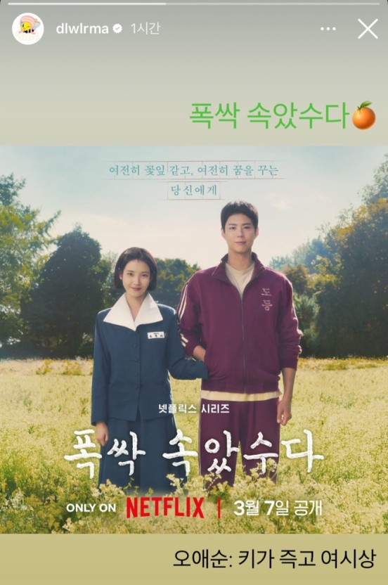 넷플릭스 폭싹 속았수다