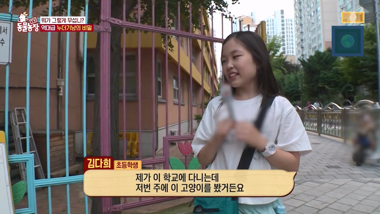 TV 동물농장.E1143.231030p-NEXT.mp4_20231029_163553.829.jpg