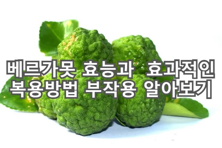  베르가못 효능과  효과적인 복용방법 부작용에 대해 알아보자